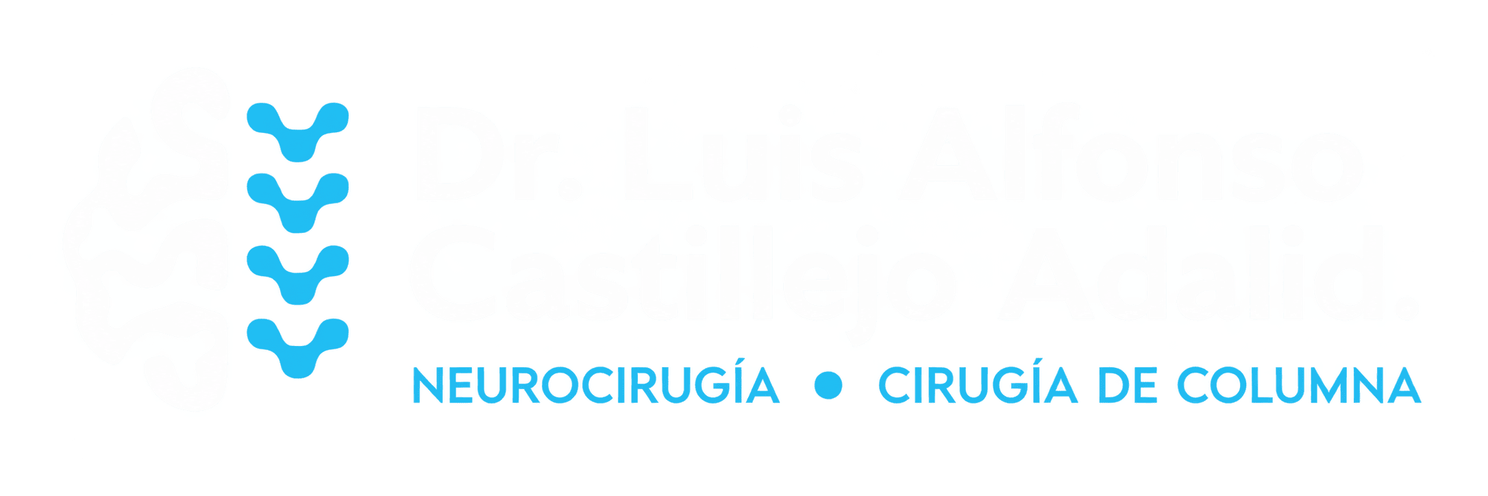 Neurocirugía en
                CDMX - Dr. Luis Alfonso Castillejo Adalid